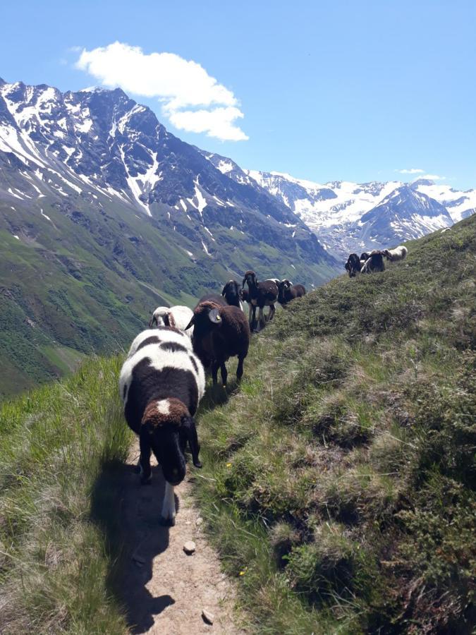 Berg-Juwel Διαμέρισμα Sankt Leonhard im Pitztal Εξωτερικό φωτογραφία